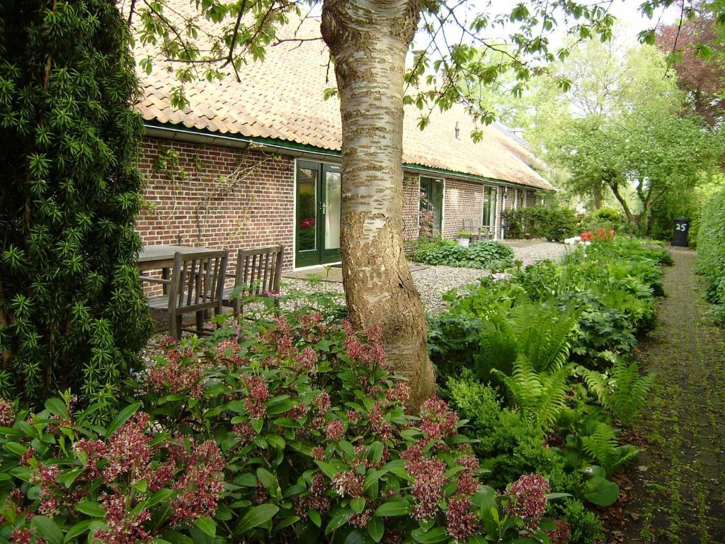 Bed & Breakfast Uiterburen Zuidbroek Extérieur photo